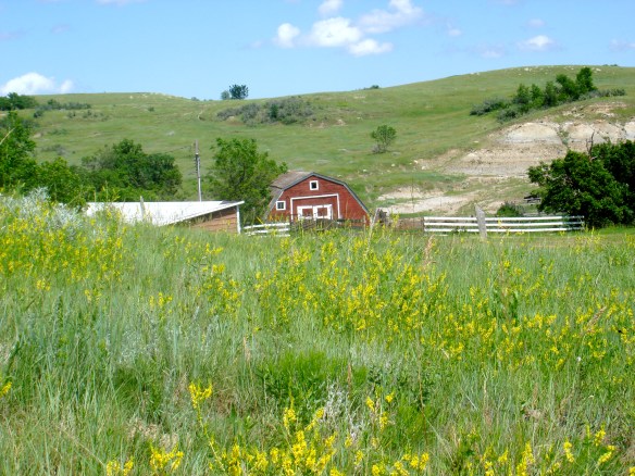 Summer Barn