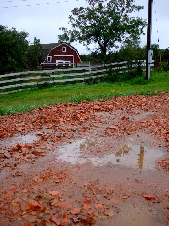 Barnyard Rain