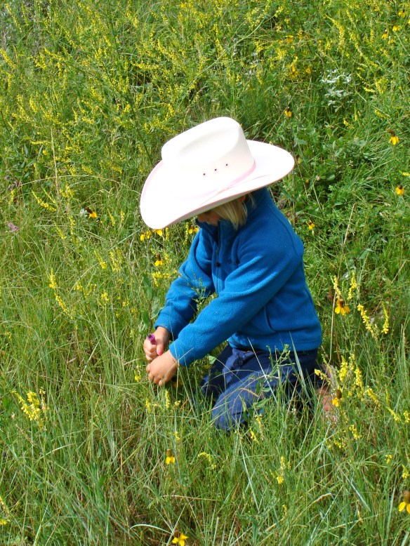Cowgirl Wildflower