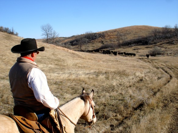 November 7, 2010. Roundup