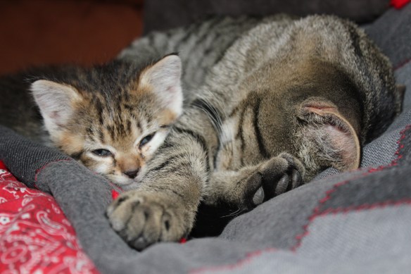 October 17, 2010. BFFs