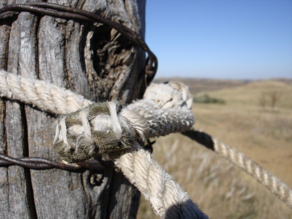 October 6, 2010. Fence Post