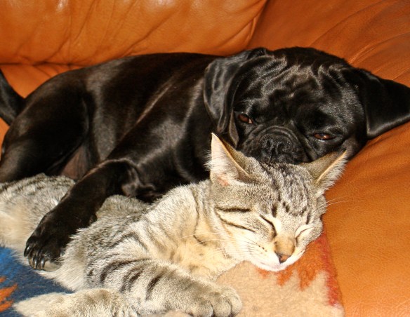 Reunited and it feels so good. 