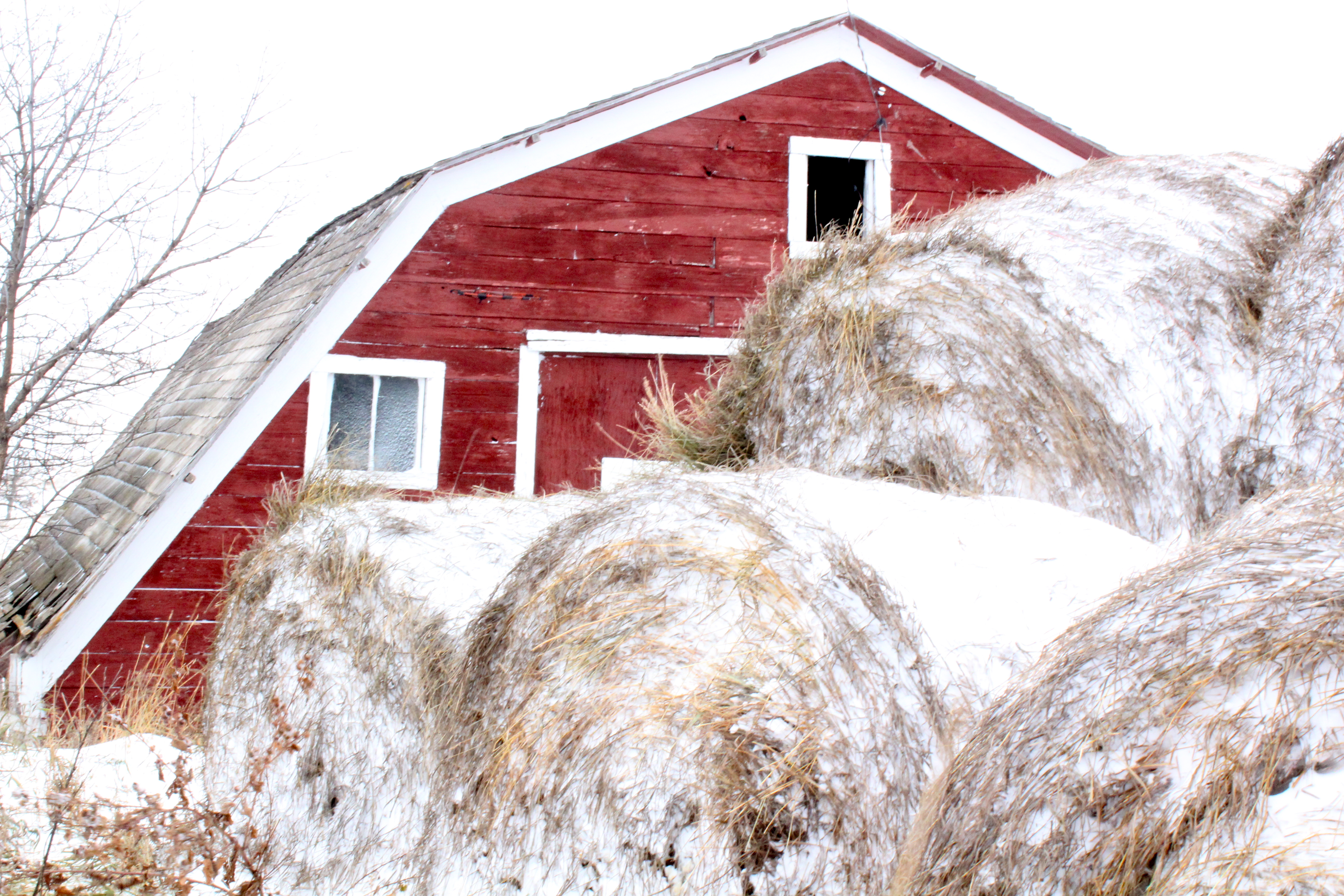 Barn in snow