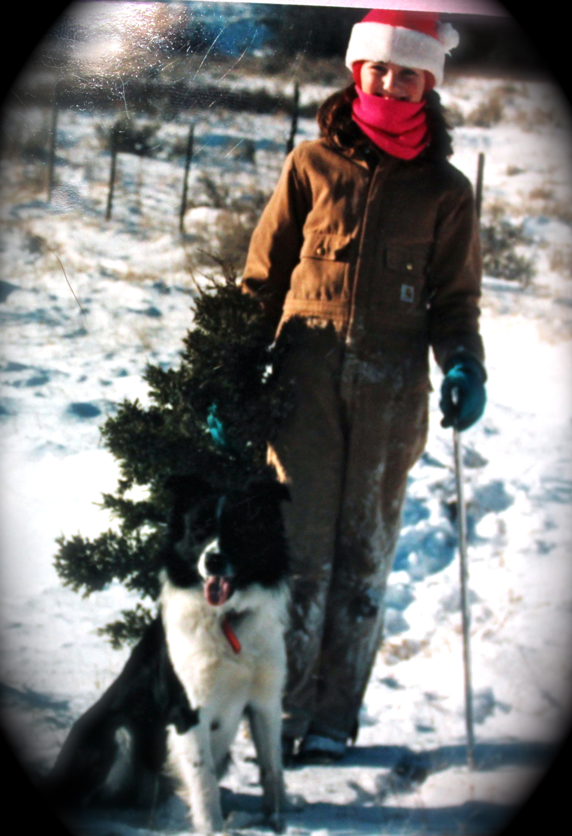 My Christmas tree back in the day