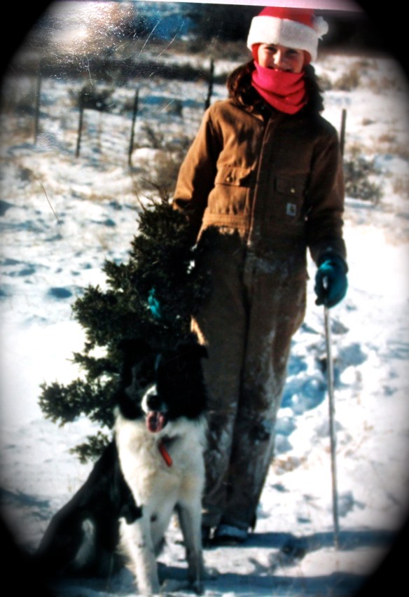 My Christmas tree back in the day