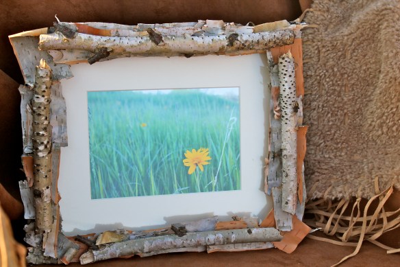 Birch Bark Photo Frame
