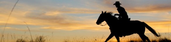 cropped-cowboy.jpg