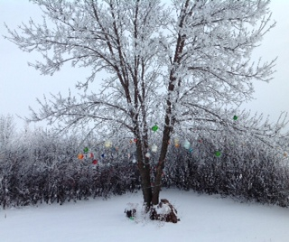 Photo submitted by Jess James. 