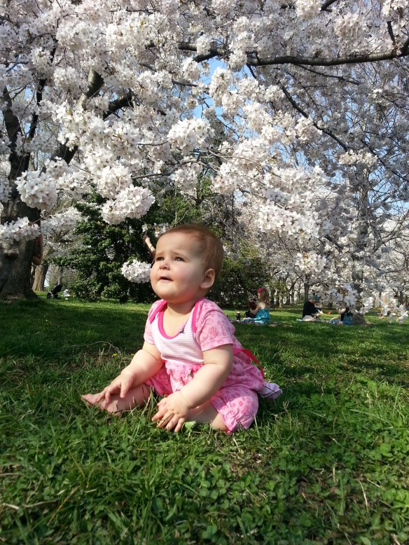 Baby with Cherry Blossoms