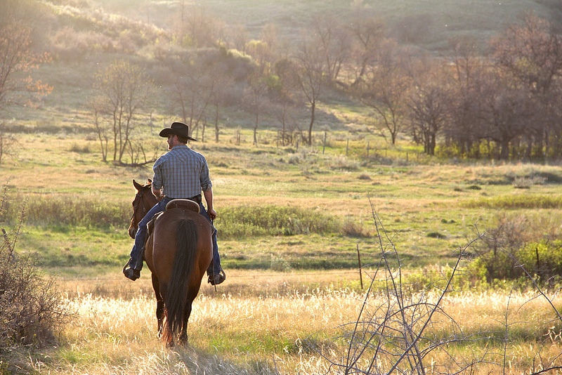 cowboy-in-spring.jpg