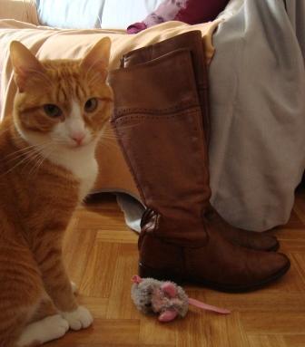 smartbsolutions boots