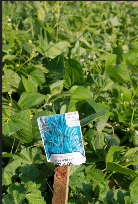 Screen Shot 2015-03-18 at 8.48.28 PM