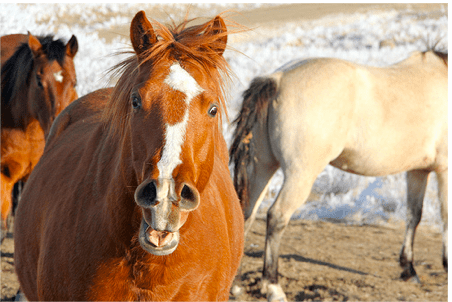 Screen Shot 2015-03-18 at 9.00.13 PM