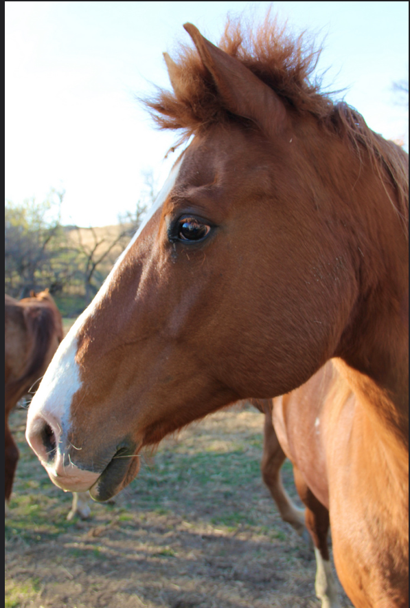 Screen Shot 2015-03-18 at 9.02.07 PM