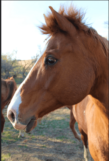 Screen Shot 2015-03-18 at 9.02.07 PM