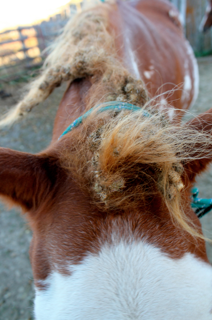 Screen Shot 2015-05-20 at 11.03.40 AM