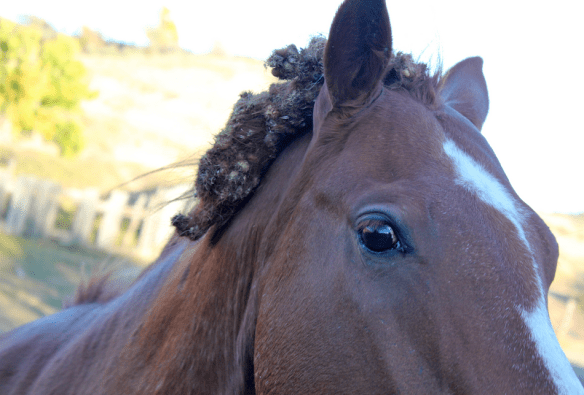 Screen Shot 2015-05-20 at 11.05.45 AM