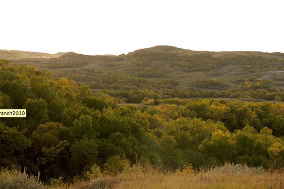 Screen shot 2015-09-21 at 12.03.01 PM