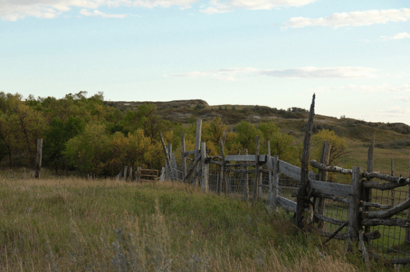 Screen shot 2015-09-21 at 12.05.30 PM