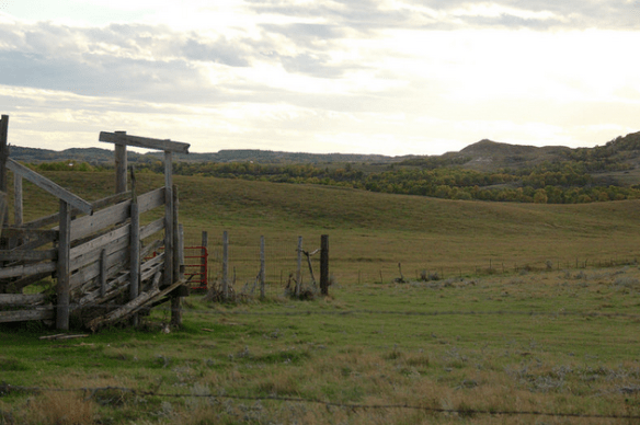 Screen shot 2015-09-21 at 12.05.41 PM