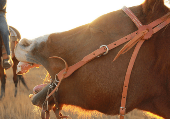 Screen shot 2015-10-23 at 4.12.21 PM