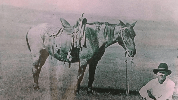 Screen Shot 2015-11-11 at 12.38.51 PM