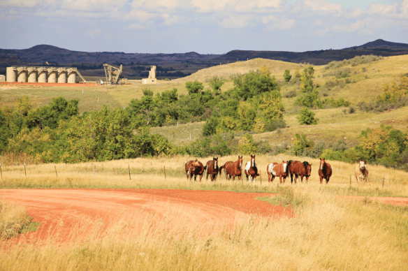 Screen Shot 2016-01-18 at 2.15.33 PM