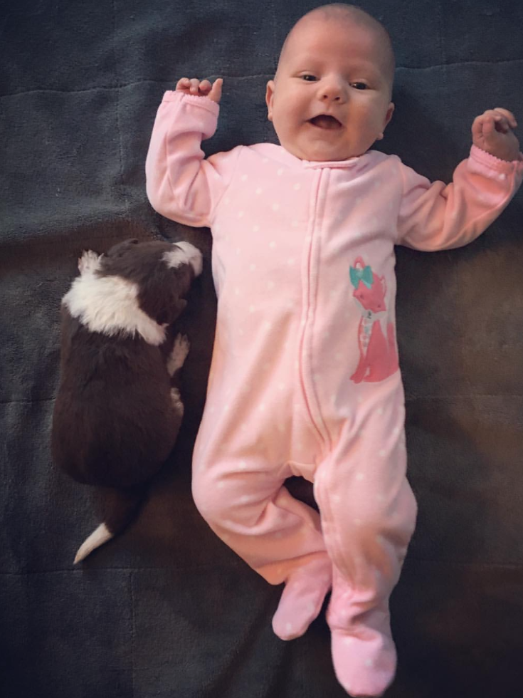 Screen Shot 2016-01-21 at 12.06.03 PM