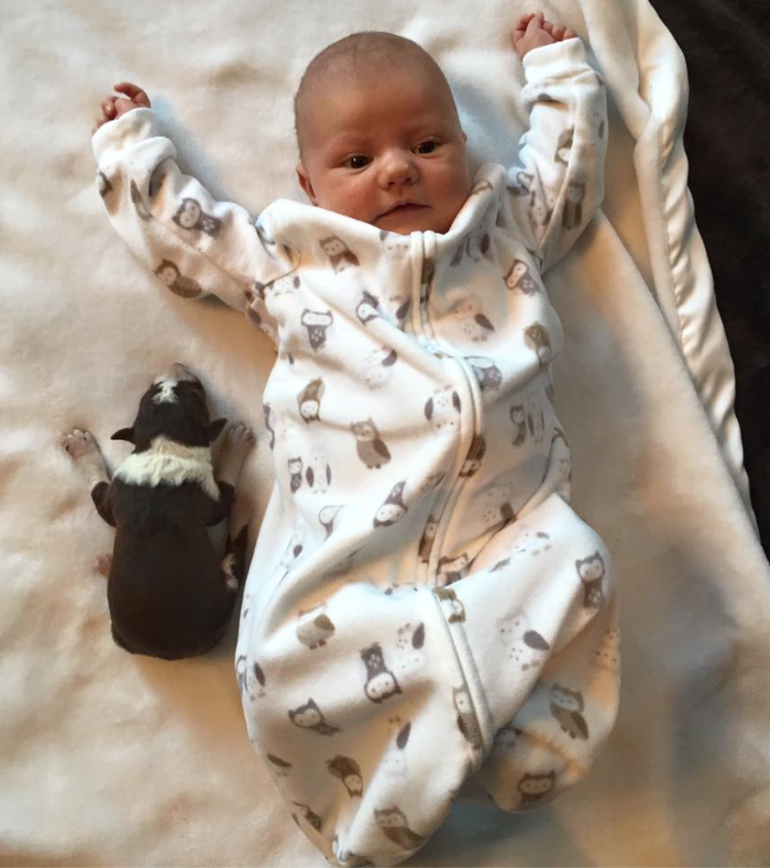 Screen Shot 2016-01-21 at 12.07.38 PM