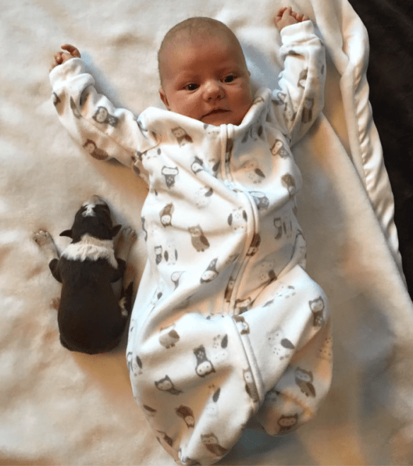 Screen Shot 2016-01-21 at 12.07.38 PM