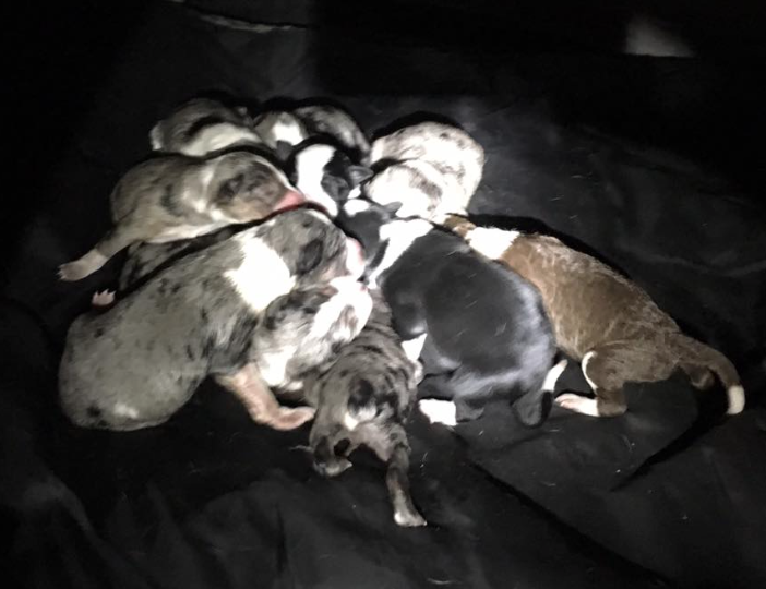 Screen Shot 2016-01-21 at 12.08.06 PM