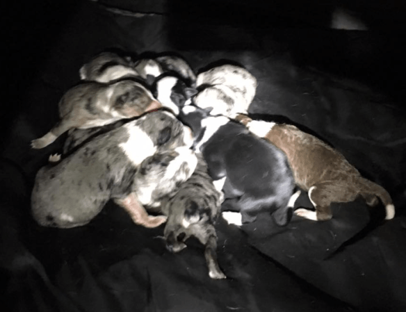 Screen Shot 2016-01-21 at 12.08.06 PM