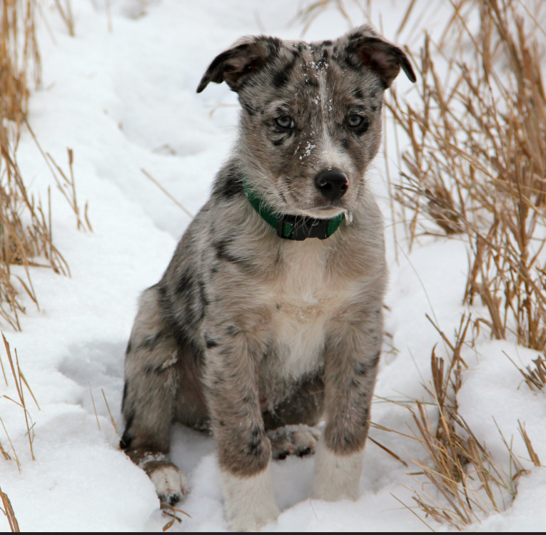 Screen Shot 2016-01-21 at 12.08.23 PM