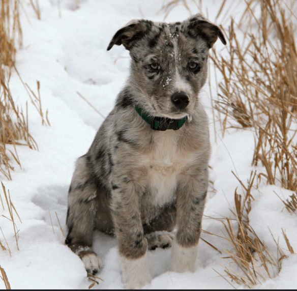 Screen Shot 2016-01-21 at 12.08.23 PM