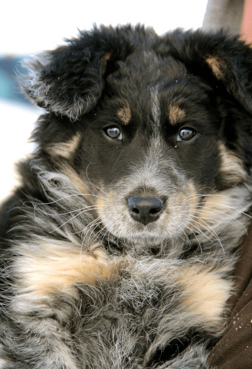 Screen Shot 2016-01-21 at 12.08.49 PM