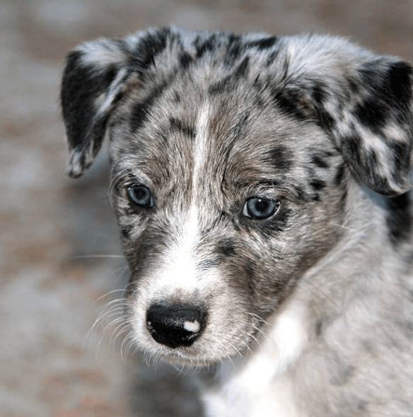 Screen Shot 2016-01-21 at 12.09.30 PM