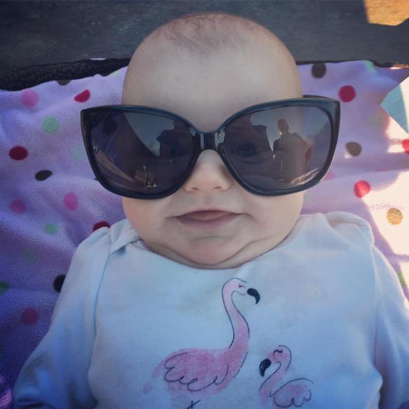 12794753_10156499128795062_3529867972875163246_o