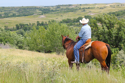 5996835326_8bff7896b6