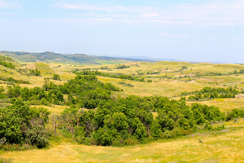 5996972402_8fb4be266a