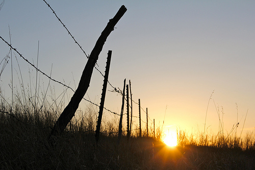 6855822214_4f3c08ec68