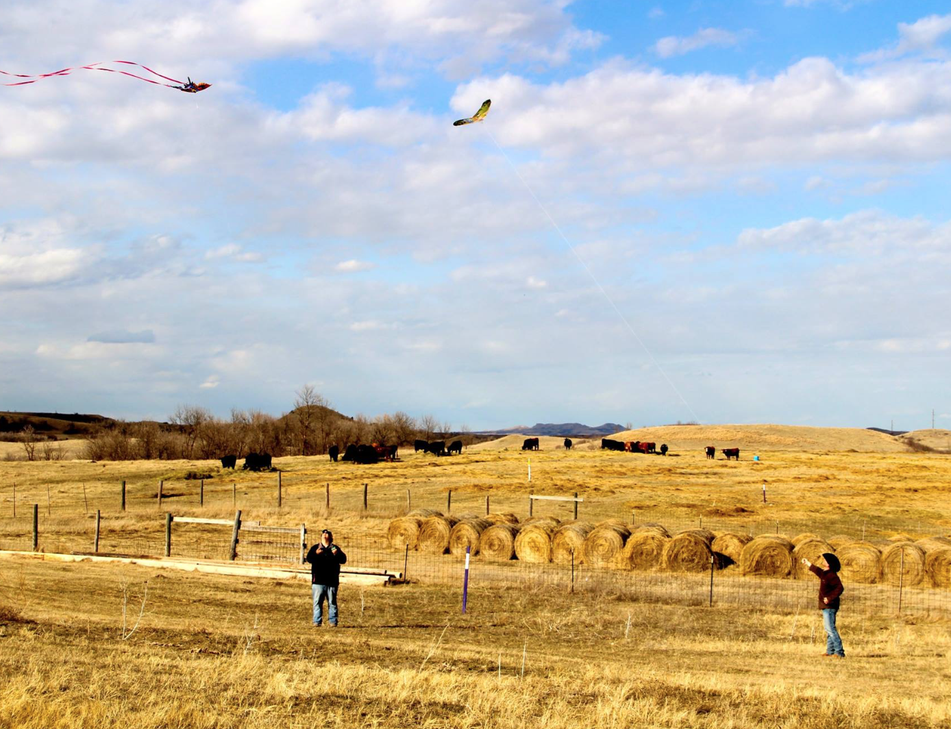 Screen Shot 2016-04-04 at 9.41.25 PM