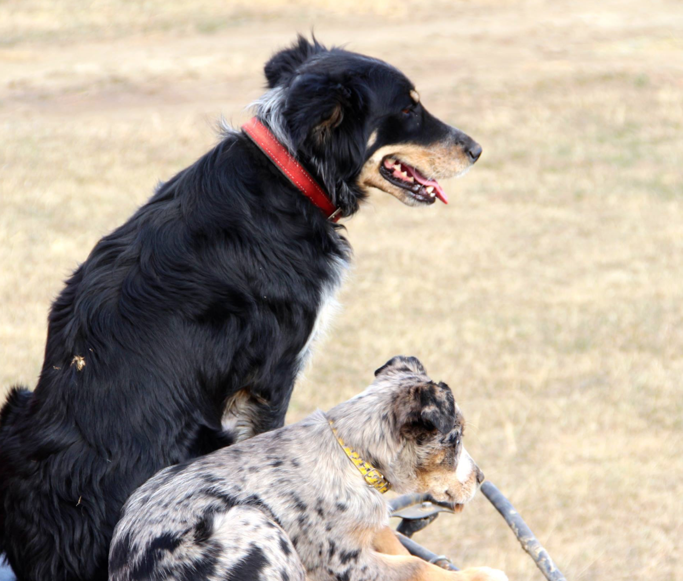 Screen Shot 2016-04-04 at 9.42.10 PM