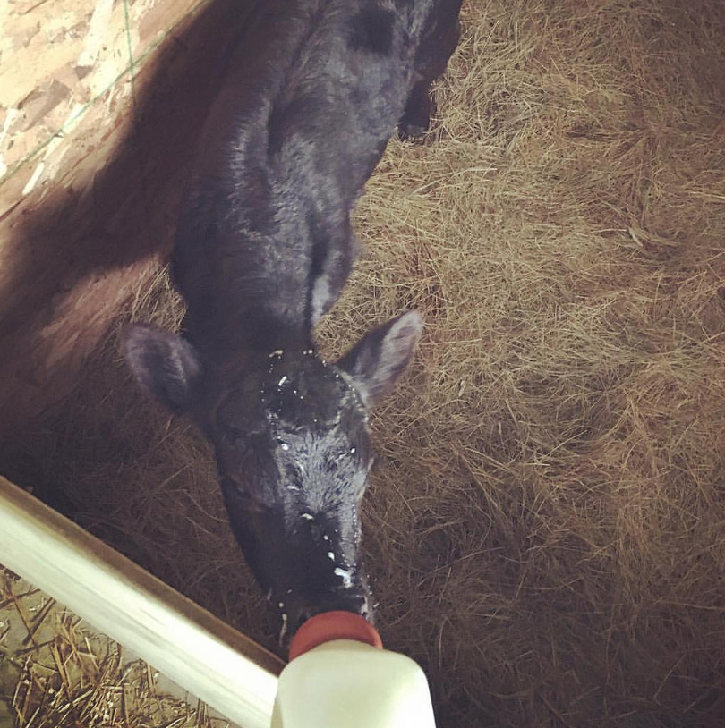 Screen Shot 2016-04-18 at 10.34.56 AM