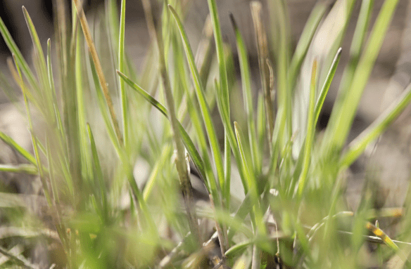 Screen Shot 2016-04-18 at 10.45.51 AM