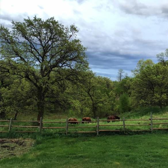 10169197_1138385399545037_2426397459698726790_n