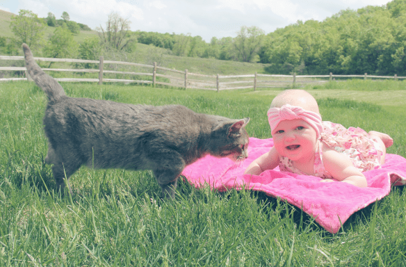 Screen Shot 2016-05-31 at 2.12.24 PM