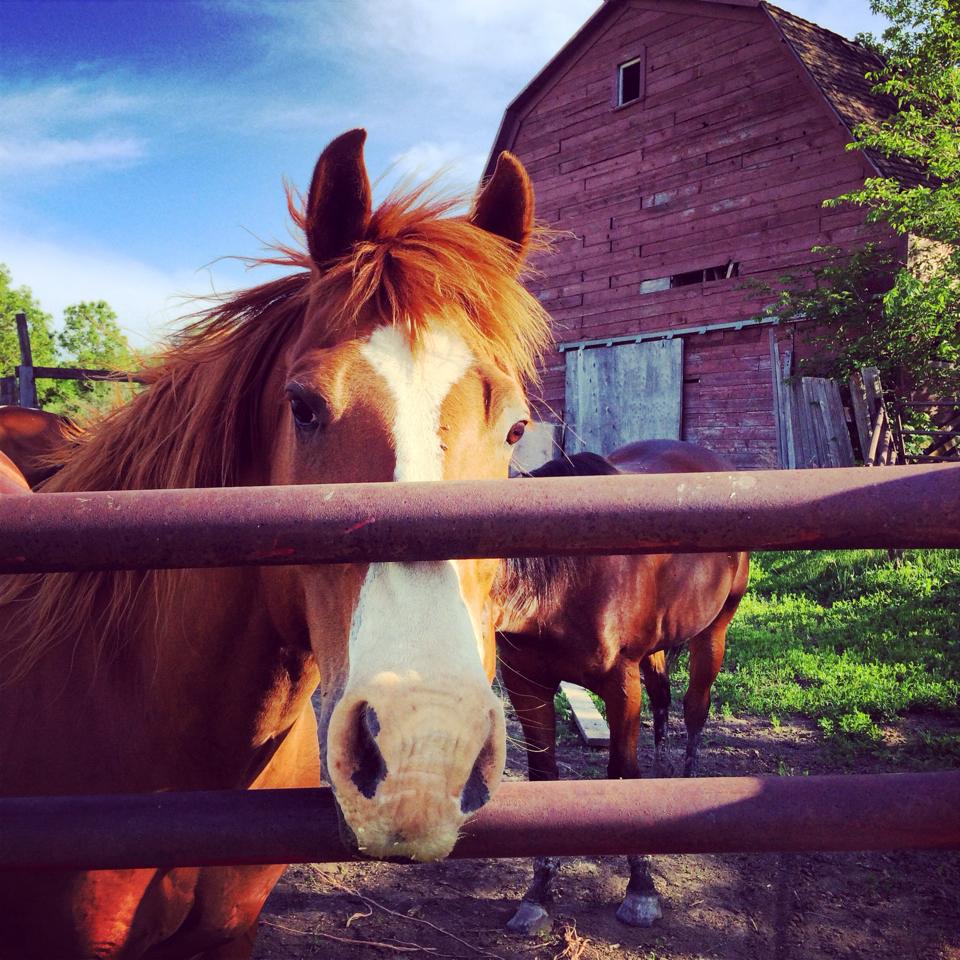 10366265_747582251958689_7617940880747725446_n