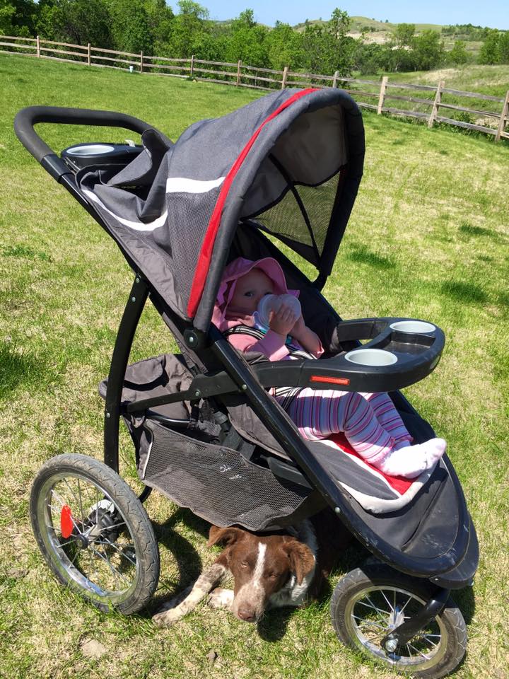 13312801_1146134852103425_1406342452621698959_n