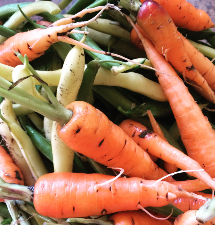 Screen Shot 2016-06-27 at 8.31.49 PM